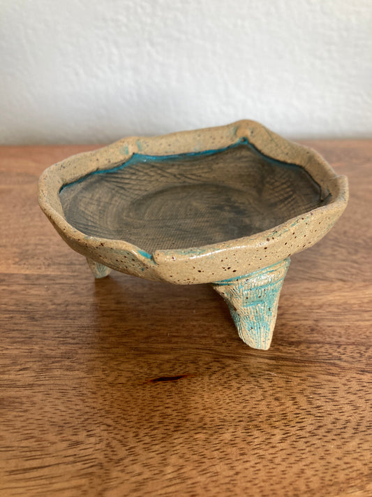 dish